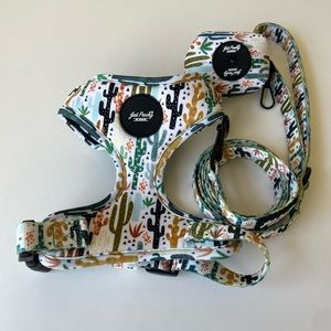 cactus dog harness and leash